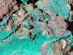 Natural Rare Bladed Barite Specimens with Malachite x 2 From Shangulowé Mine, Congo - Toprock Gemstones and Minerals 