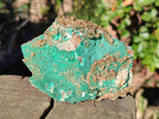 Natural Rare Bladed Barite Specimens with Malachite x 2 From Shangulowé Mine, Congo - Toprock Gemstones and Minerals 