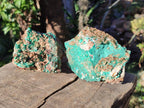 Natural Rare Bladed Barite Specimens with Malachite x 2 From Shangulowé Mine, Congo - Toprock Gemstones and Minerals 
