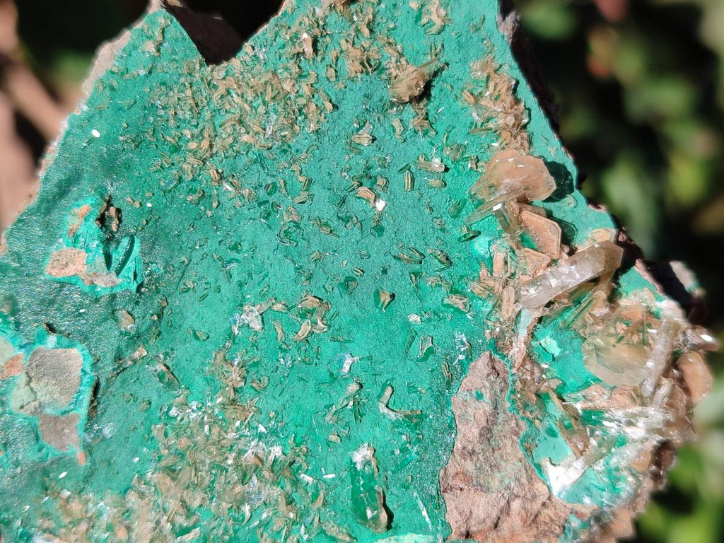 Natural Rare Bladed Barite Specimens with Malachite x 2 From Shangulowé Mine, Congo - Toprock Gemstones and Minerals 