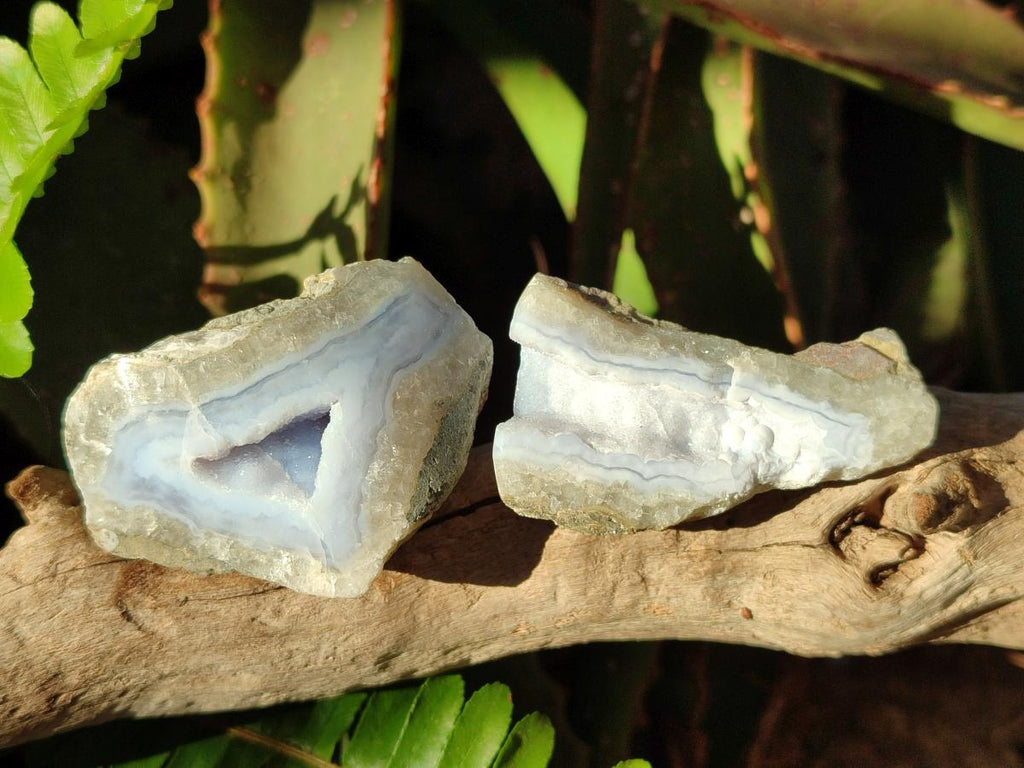 Polished on One Side Blue Lace Agate Geodes x 20 From Nsanje, Malawi - Toprock Gemstones and Minerals 