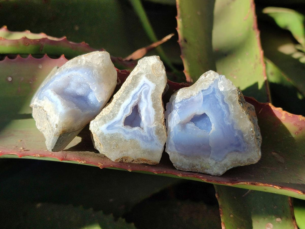 Polished on One Side Blue Lace Agate Geodes x 20 From Nsanje, Malawi - Toprock Gemstones and Minerals 