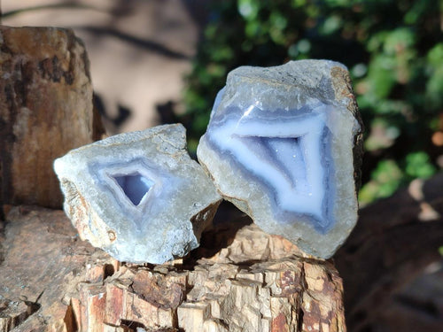 Polished on One Side Blue Lace Agate Geodes x 20 From Nsanje, Malawi - Toprock Gemstones and Minerals 