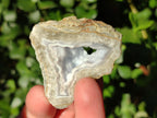 Polished on One Side Blue Lace Agate Geodes x 20 From Nsanje, Malawi - Toprock Gemstones and Minerals 