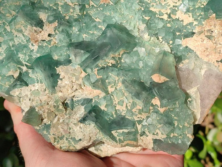 Natural Large Green Cubic Fluorite Specimen x 1 From Mandrosonoro, Madagascar - Toprock Gemstones and Minerals 
