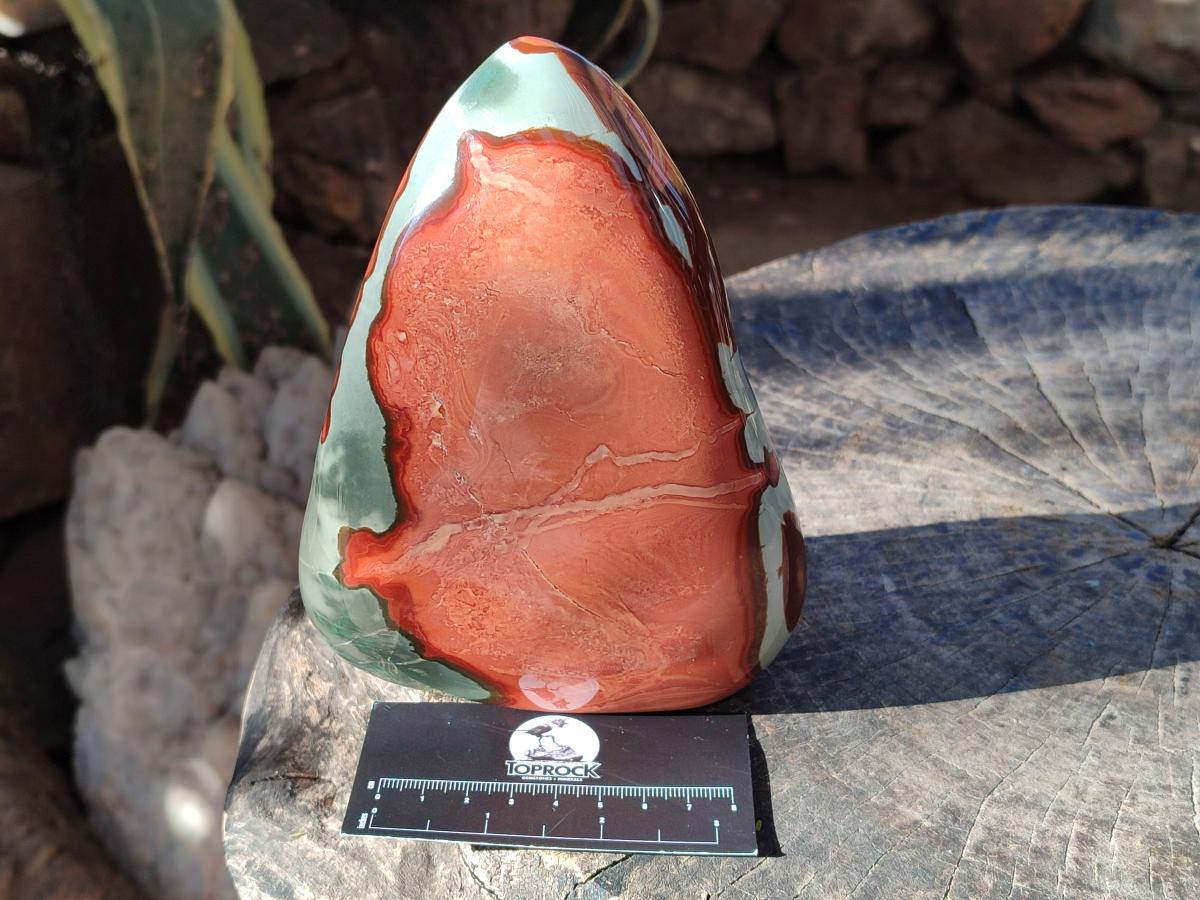 Polished Large Polychrome Jasper Standing Display Piece x 1 From NW Coast, Madagascar - Toprock Gemstones and Minerals 