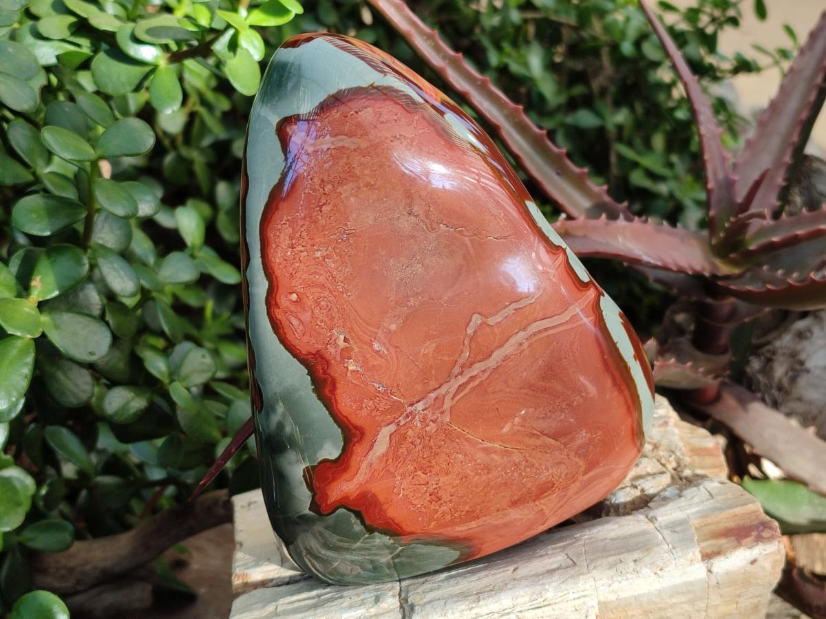 Polished Large Polychrome Jasper Standing Display Piece x 1 From NW Coast, Madagascar - Toprock Gemstones and Minerals 