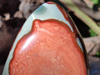 Polished Large Polychrome Jasper Standing Display Piece x 1 From NW Coast, Madagascar - Toprock Gemstones and Minerals 