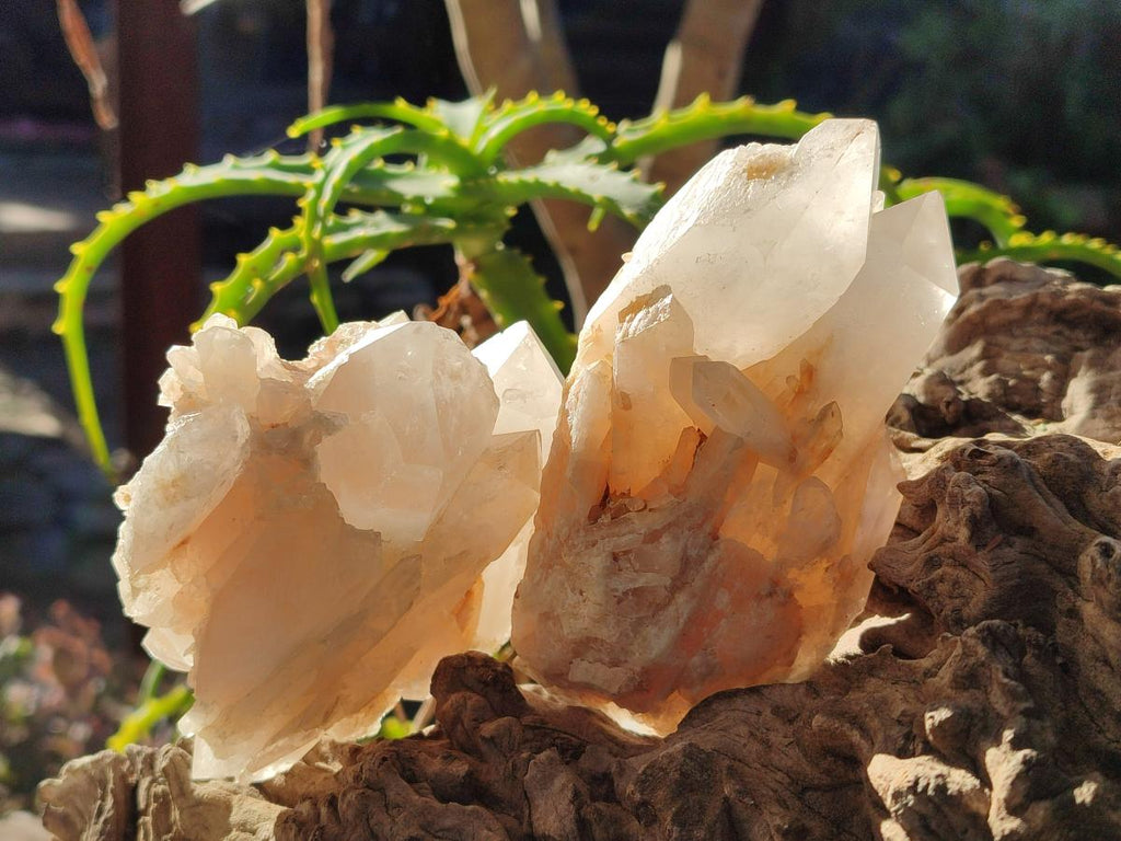 Natural Malagasy Quartz Crystals x 6 From Madagascar - Toprock Gemstones and Minerals 