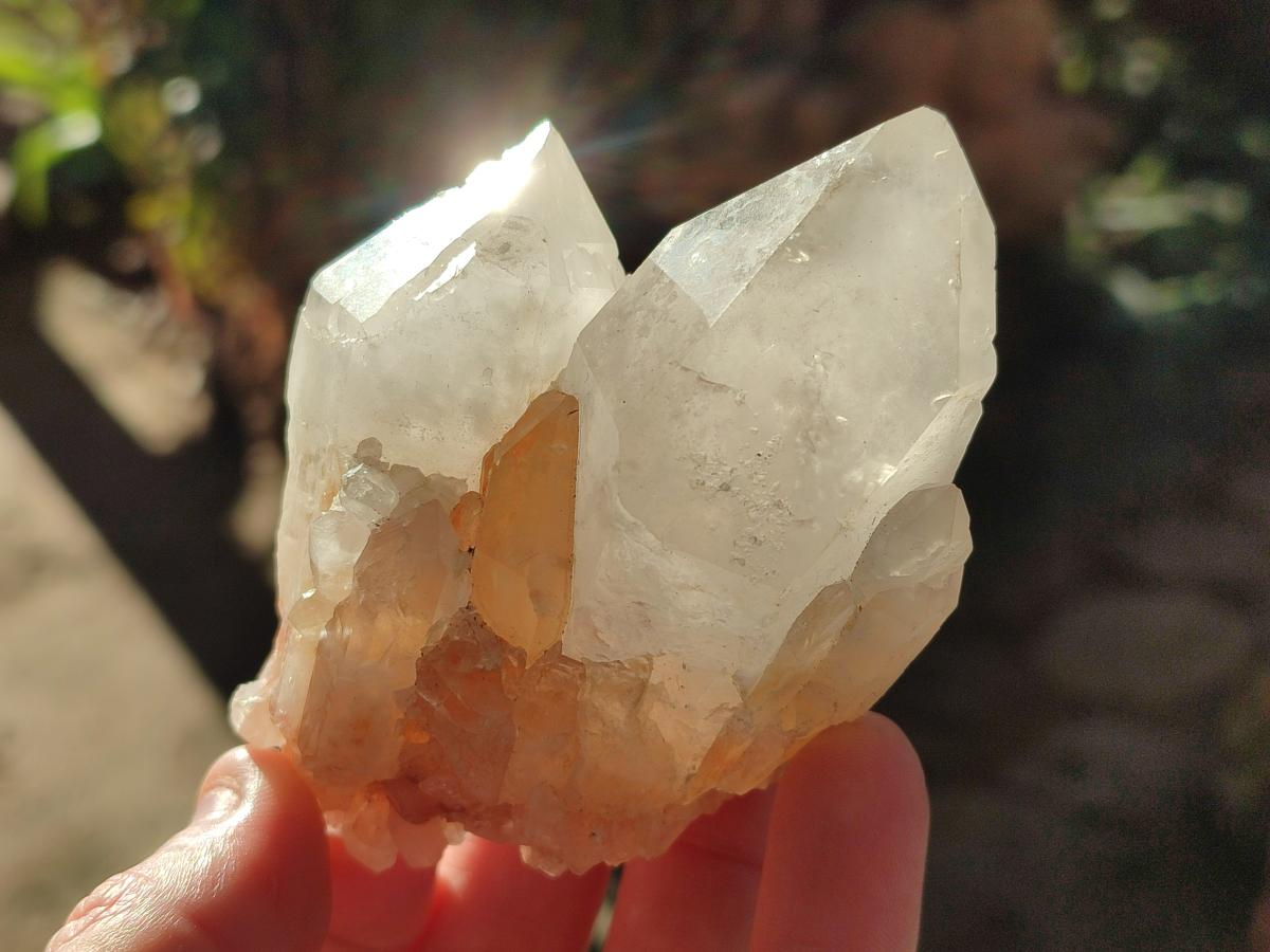 Natural Malagasy Quartz Crystals x 6 From Madagascar - Toprock Gemstones and Minerals 