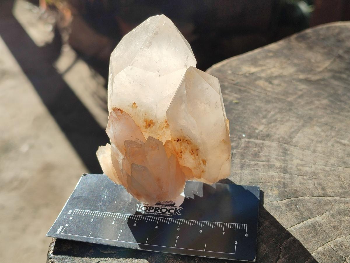 Natural Malagasy Quartz Crystals x 6 From Madagascar - Toprock Gemstones and Minerals 