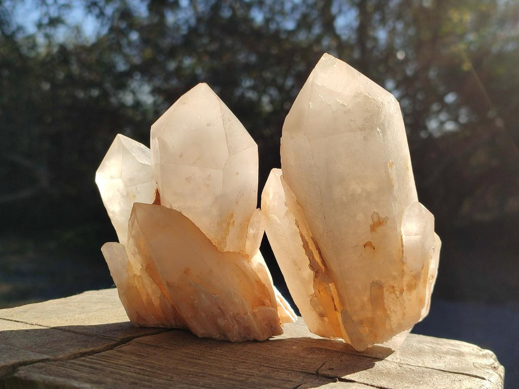 Natural Malagasy Quartz Crystals x 6 From Madagascar - Toprock Gemstones and Minerals 