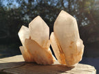 Natural Malagasy Quartz Crystals x 6 From Madagascar - Toprock Gemstones and Minerals 