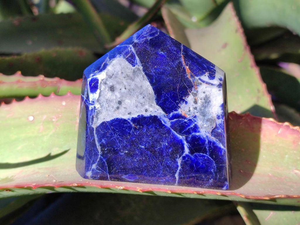 Polished Sodalite Crystals with Silver Hematite x 6 From Kunene River, Namibia - Toprock Gemstones and Minerals 
