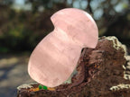 Polished Gemmy Rose Quartz Mushrooms x 24 From Madagascar - Toprock Gemstones and Minerals 