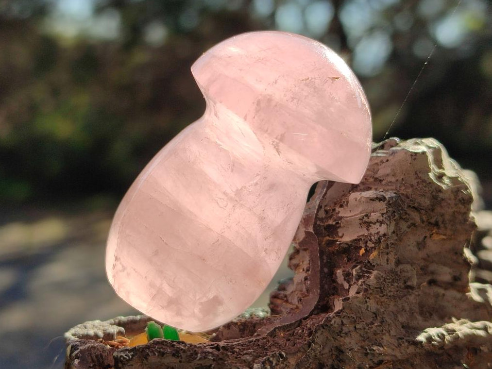 Polished Gemmy Rose Quartz Mushrooms x 24 From Madagascar - Toprock Gemstones and Minerals 