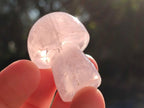 Polished Gemmy Rose Quartz Mushrooms x 24 From Madagascar - Toprock Gemstones and Minerals 