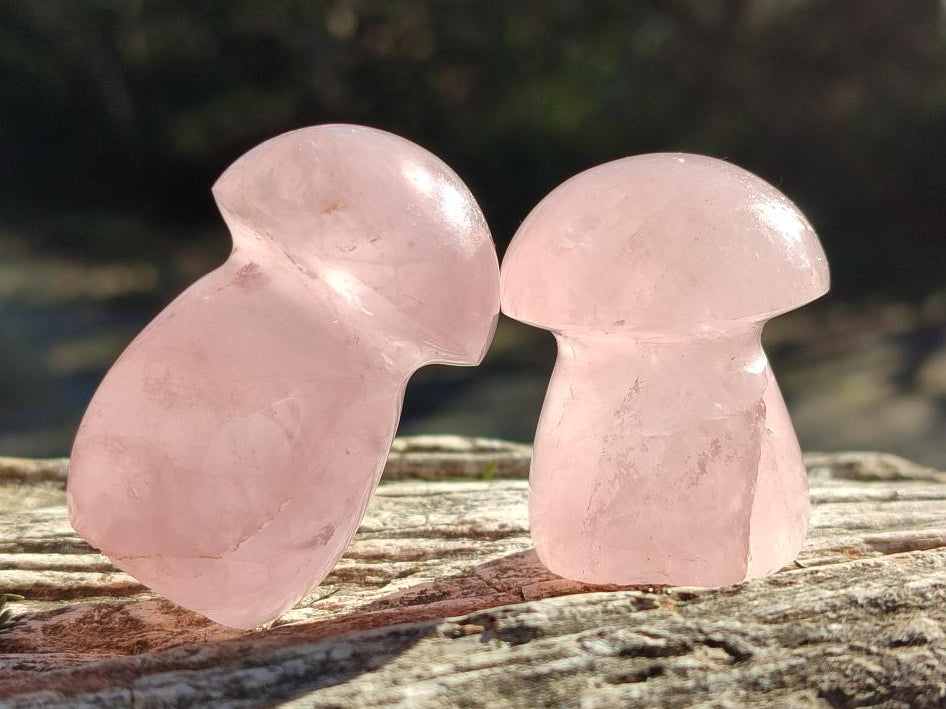 Polished Gemmy Rose Quartz Mushrooms x 24 From Madagascar - Toprock Gemstones and Minerals 