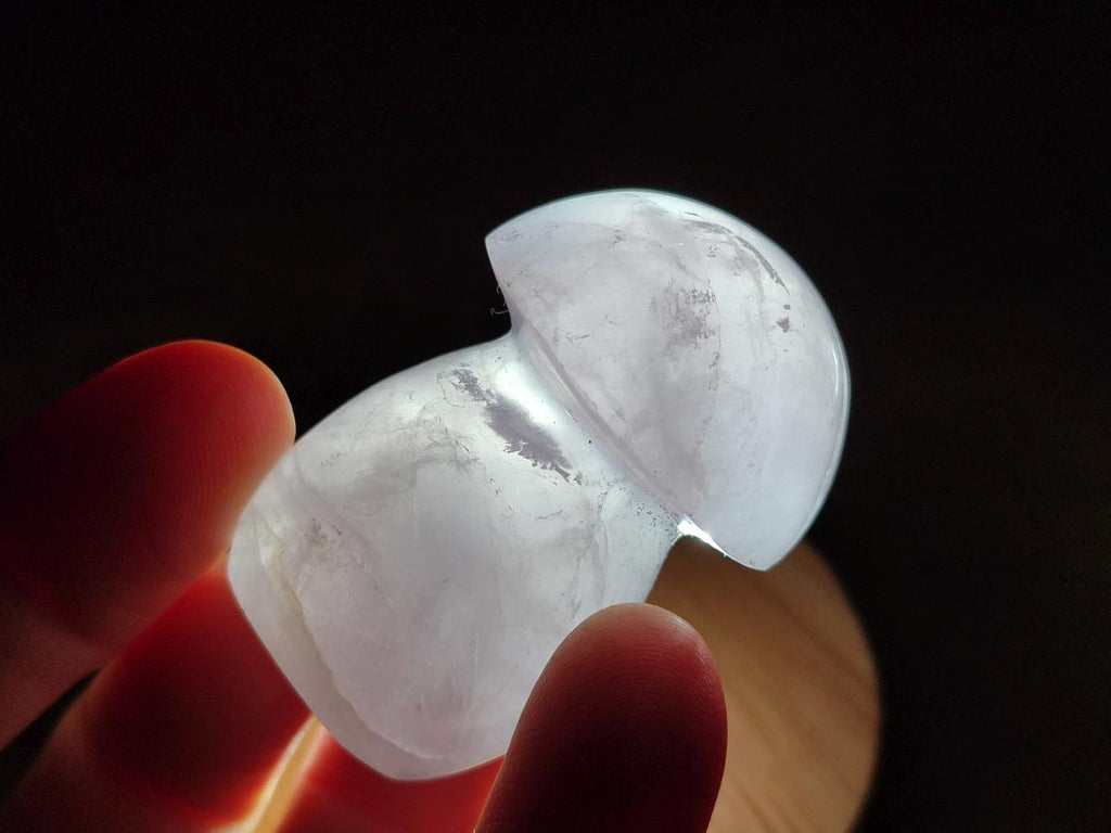 Polished Gemmy Rose Quartz Mushrooms x 24 From Madagascar - Toprock Gemstones and Minerals 