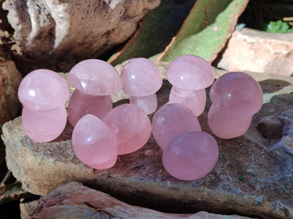 Polished Gemmy Rose Quartz Mushrooms x 24 From Madagascar - Toprock Gemstones and Minerals 