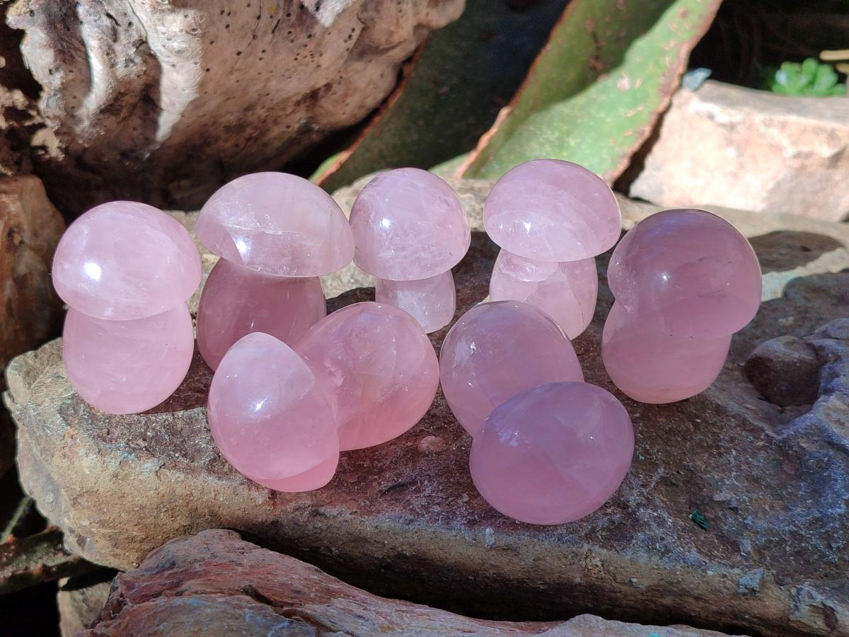 Polished Gemmy Rose Quartz Mushrooms x 24 From Madagascar - Toprock Gemstones and Minerals 