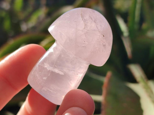 Polished Gemmy Rose Quartz Mushrooms x 24 From Madagascar - Toprock Gemstones and Minerals 