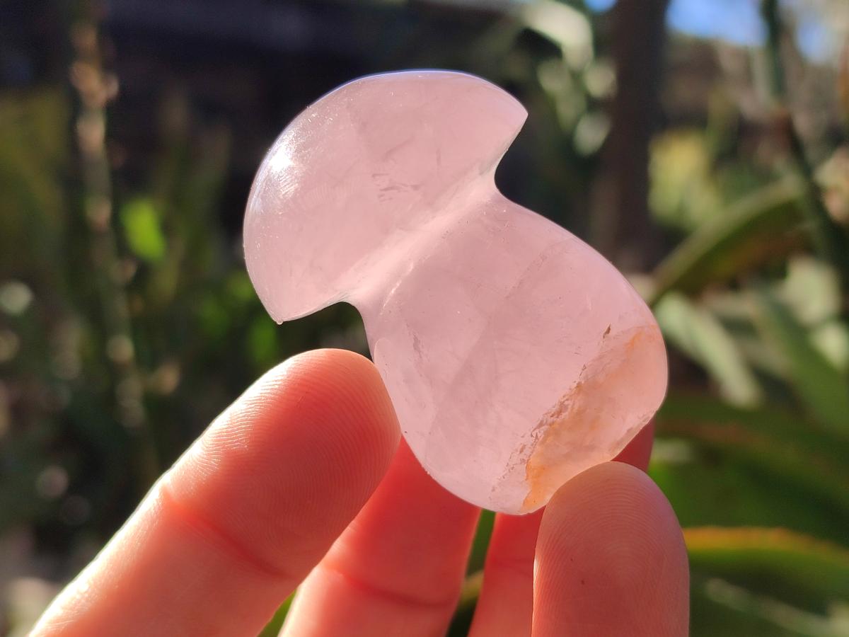 Polished Gemmy Rose Quartz Mushrooms x 24 From Madagascar - Toprock Gemstones and Minerals 