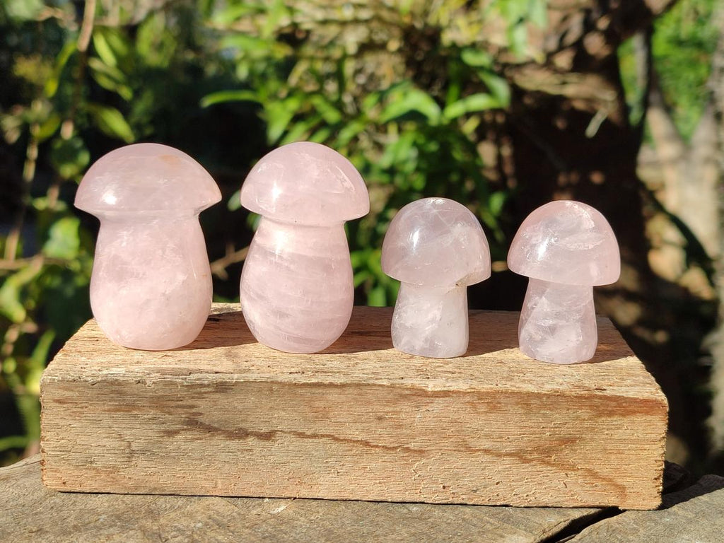 Polished Gemmy Rose Quartz Mushrooms x 24 From Madagascar - Toprock Gemstones and Minerals 