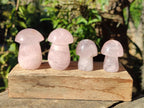 Polished Gemmy Rose Quartz Mushrooms x 24 From Madagascar - Toprock Gemstones and Minerals 