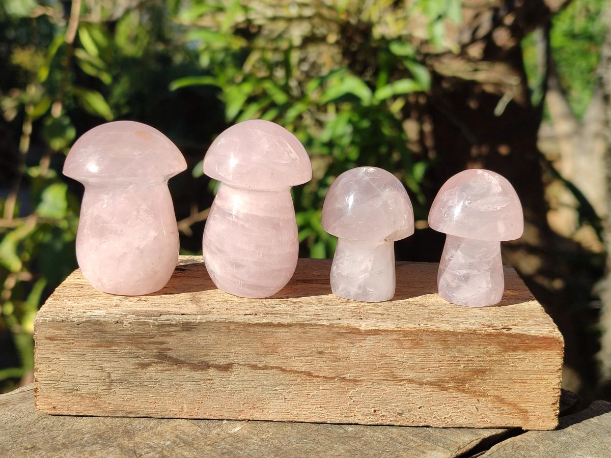 Polished Gemmy Rose Quartz Mushrooms x 24 From Madagascar - Toprock Gemstones and Minerals 