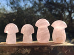 Polished Gemmy Rose Quartz Mushrooms x 24 From Madagascar - Toprock Gemstones and Minerals 