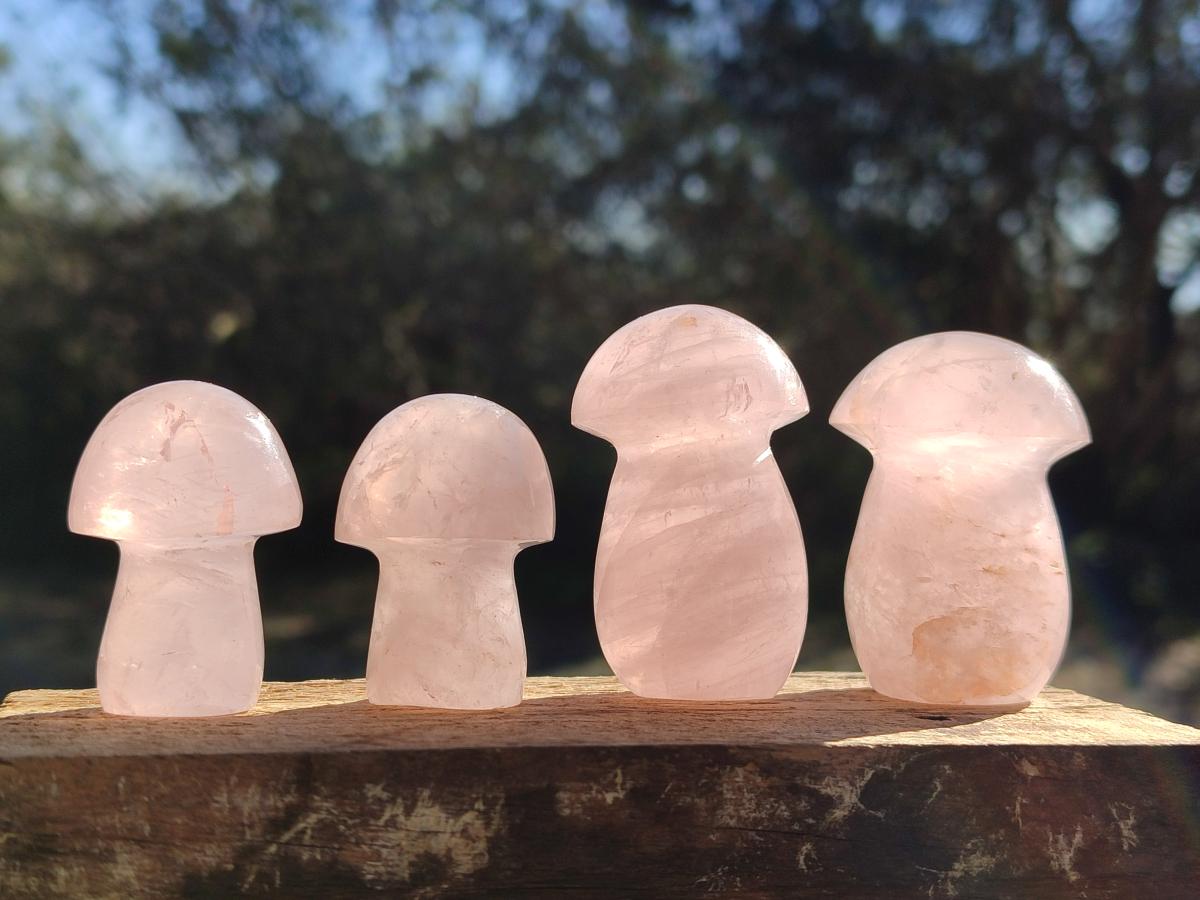 Polished Gemmy Rose Quartz Mushrooms x 24 From Madagascar - Toprock Gemstones and Minerals 