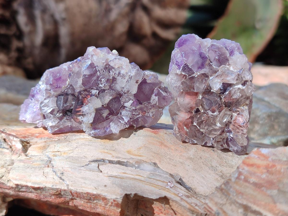 Natural Small Rare Amethyst Asylum Quartz Clusters x 35 From Luena, Congo - Toprock Gemstones and Minerals 