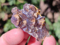 Natural Small Rare Amethyst Asylum Quartz Clusters x 35 From Luena, Congo - Toprock Gemstones and Minerals 