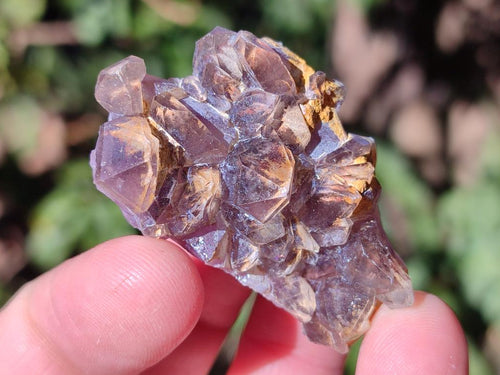 Natural Small Rare Amethyst Asylum Quartz Clusters x 35 From Luena, Congo - Toprock Gemstones and Minerals 