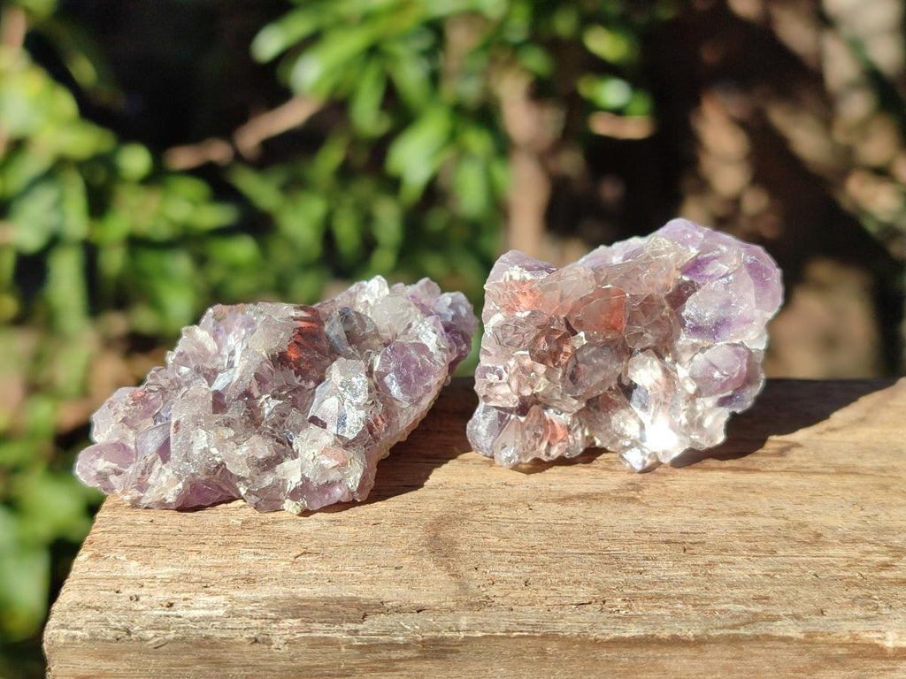 Natural Small Rare Amethyst Asylum Quartz Clusters x 35 From Luena, Congo - Toprock Gemstones and Minerals 