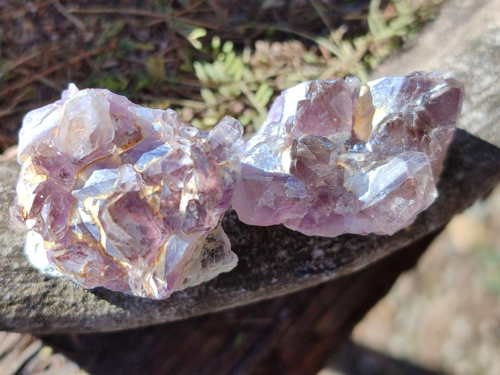 Natural Small Rare Amethyst Asylum Quartz Clusters x 35 From Luena, Congo - Toprock Gemstones and Minerals 