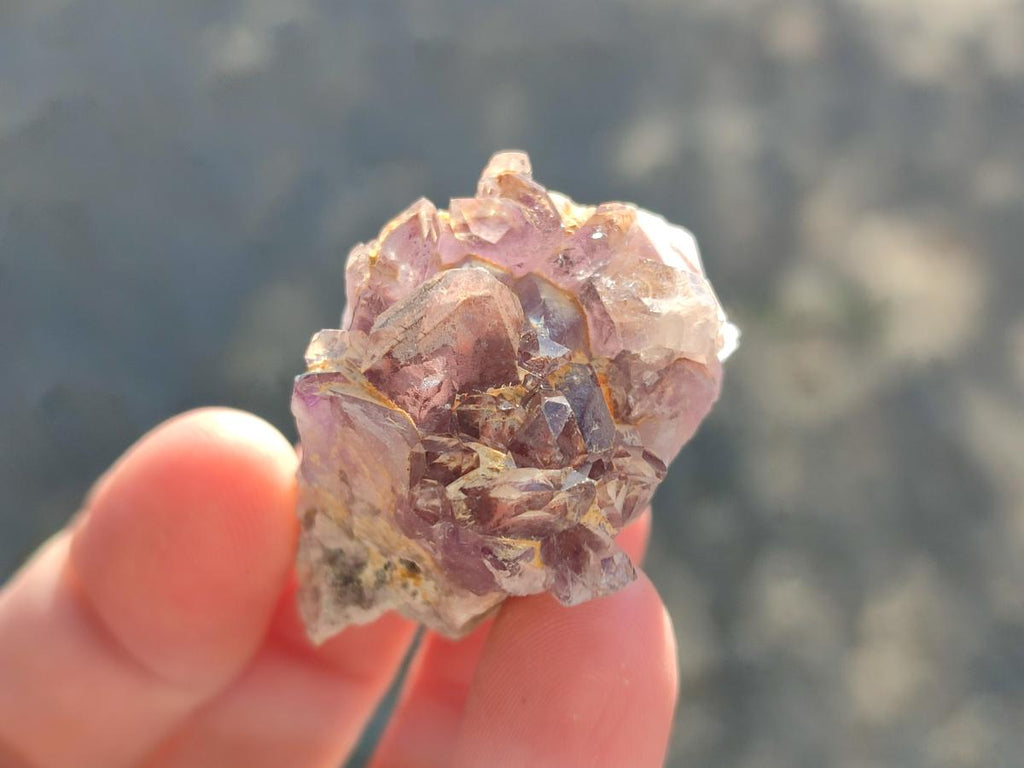 Natural Small Rare Amethyst Asylum Quartz Clusters x 35 From Luena, Congo - Toprock Gemstones and Minerals 