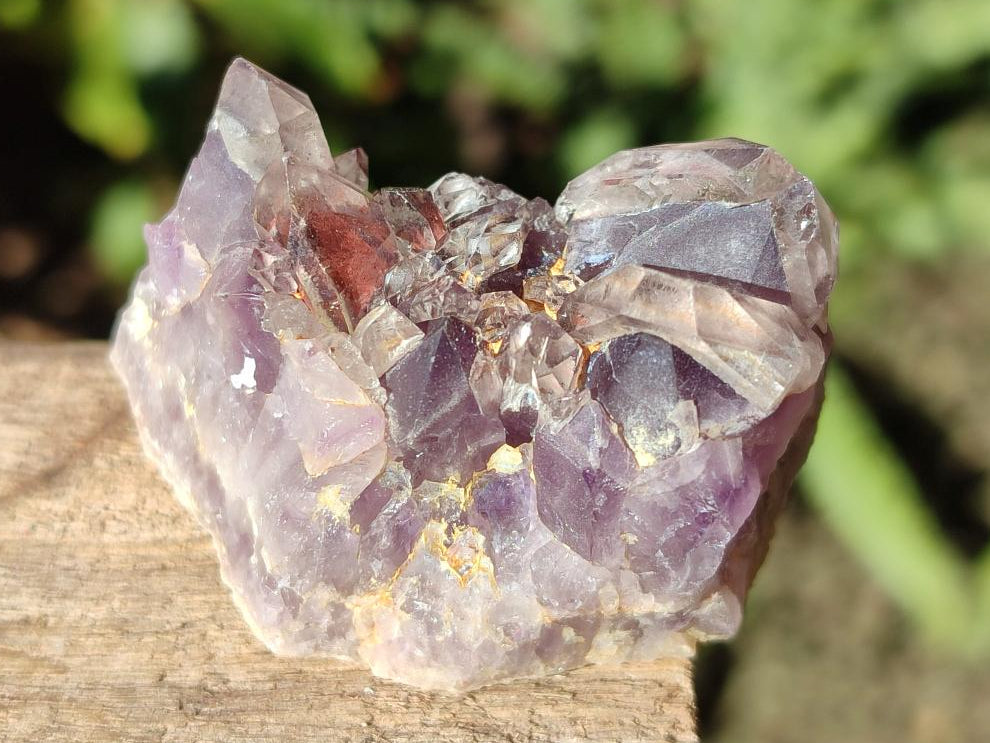 Natural Small Rare Amethyst Asylum Quartz Clusters x 35 From Luena, Congo - Toprock Gemstones and Minerals 