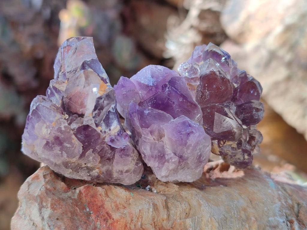 Natural Small Rare Amethyst Asylum Quartz Clusters x 35 From Luena, Congo - Toprock Gemstones and Minerals 