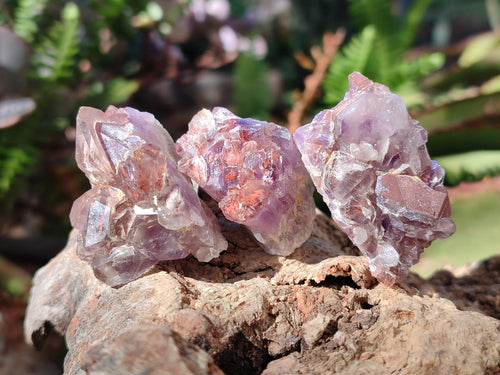 Natural Small Rare Amethyst Asylum Quartz Clusters x 35 From Luena, Congo - Toprock Gemstones and Minerals 