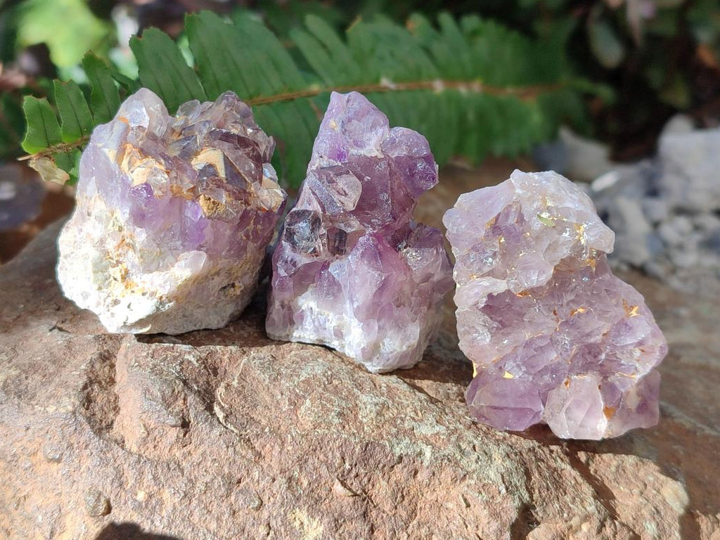 Natural Small Rare Amethyst Asylum Quartz Clusters x 35 From Luena, Congo - Toprock Gemstones and Minerals 