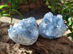 Natural Blue Celestite Specimens x 35 From Sakoany, Madagascar - Toprock Gemstones and Minerals 