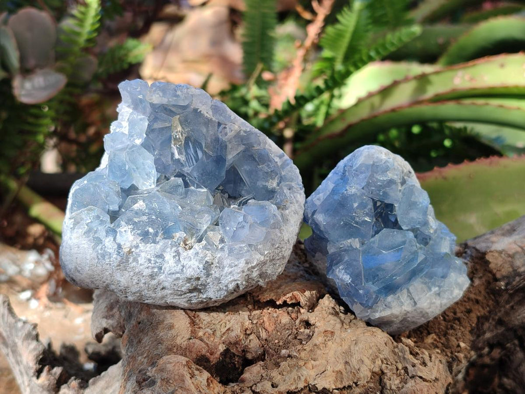 Natural Blue Celestite Specimens x 35 From Sakoany, Madagascar - Toprock Gemstones and Minerals 