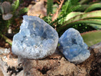 Natural Blue Celestite Specimens x 35 From Sakoany, Madagascar - Toprock Gemstones and Minerals 