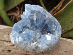 Natural Blue Celestite Specimens x 35 From Sakoany, Madagascar - Toprock Gemstones and Minerals 