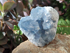 Natural Blue Celestite Specimens x 35 From Sakoany, Madagascar - Toprock Gemstones and Minerals 