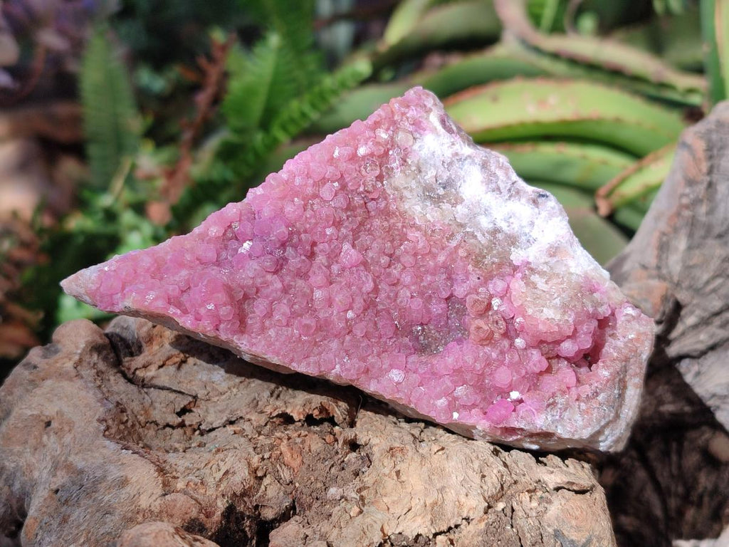 Natural Spherocobaltite Specimens x 2 From Musonoi Mine, Congo - Toprock Gemstones and Minerals 