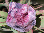 Natural Spherocobaltite Specimens x 2 From Musonoi Mine, Congo - Toprock Gemstones and Minerals 