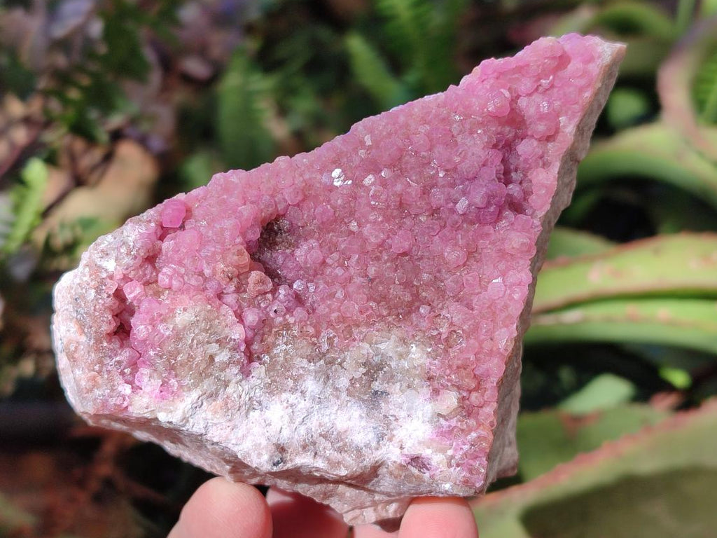 Natural Spherocobaltite Specimens x 2 From Musonoi Mine, Congo - Toprock Gemstones and Minerals 